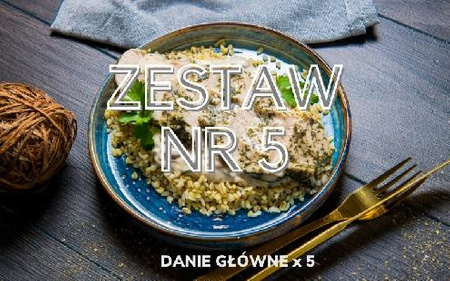 ZESTAW OBIADOWY nr 5 (5x danie główne)